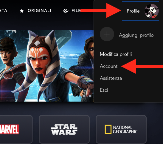 Account Disney+