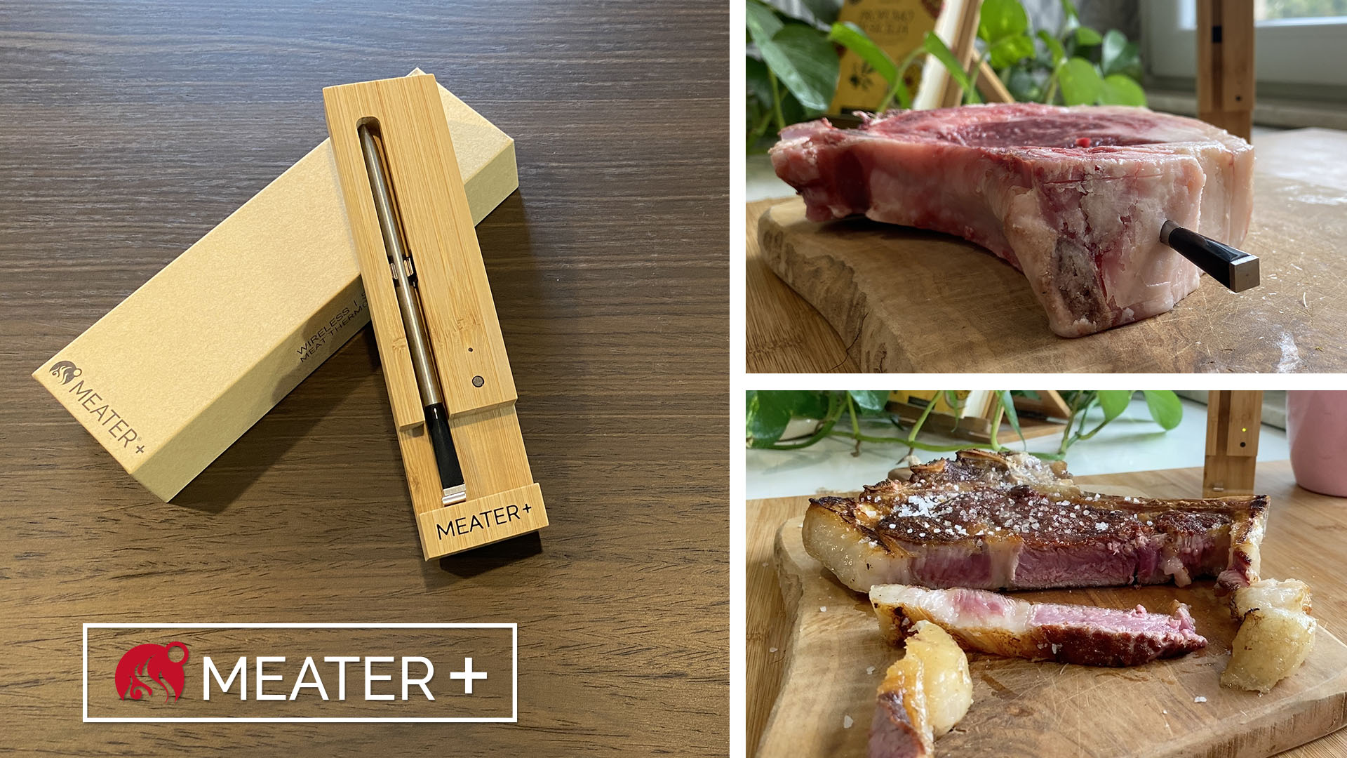 Recensione-Meater---il-termometro-smart-per-carni