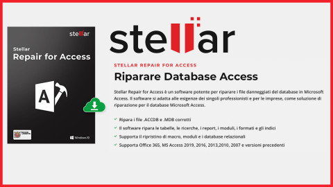 Stellar-Repair-for-Access