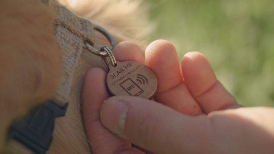 La tecnologia NFC: un aiuto per ritrovare i propri animali smarriti